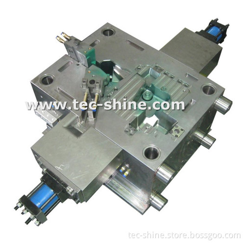 Car Parts Moulding/ Plastic Molds/ Moulds (TS102)